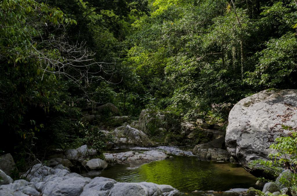 Tayrona Paradise Βίλα El Zaino Εξωτερικό φωτογραφία