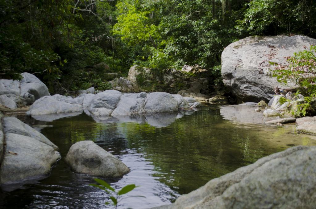 Tayrona Paradise Βίλα El Zaino Εξωτερικό φωτογραφία