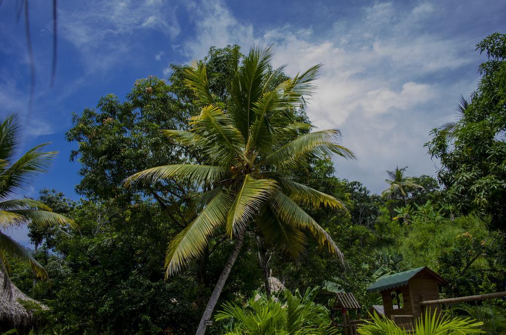 Tayrona Paradise Βίλα El Zaino Εξωτερικό φωτογραφία
